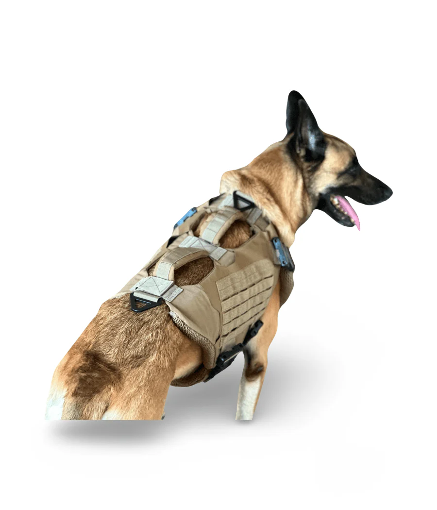 Titan K-9 Ballistic Body Armor Vest 3.0 - Optional Level IIIA Dual Threat - Image 4
